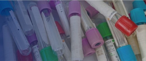 機器人引導 機器人系統